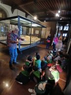 whatsapp image 2026-01-16 at 23.05.54 3